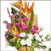 Spirit of Victory - Click here to View more details about this Product